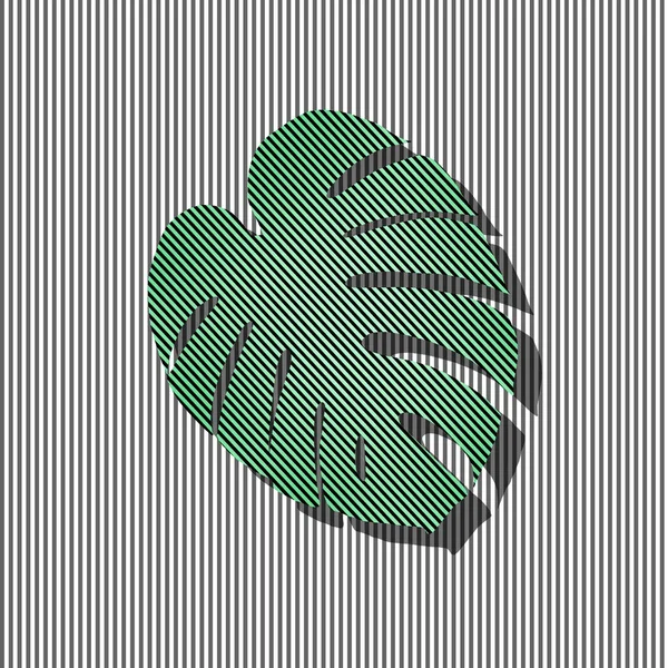 Monstera Folha Tropical Com Estipes Fundo Preto Branco Listrado — Fotografia de Stock