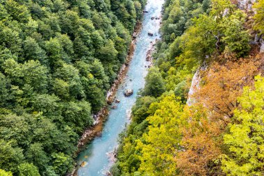 Yeşil orman ve kayalarla çevrili güzel mavi dağ nehri Tara, Karadağ 'ın Durmitor Ulusal Parkı' ndaki bir kanyonda akıyor.. 