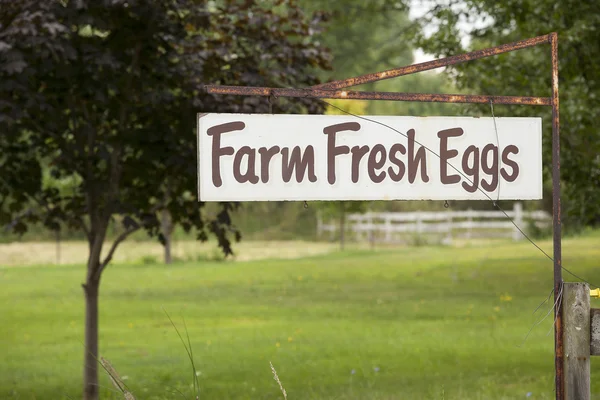Знак ферми зі свіжих яєць — стокове фото