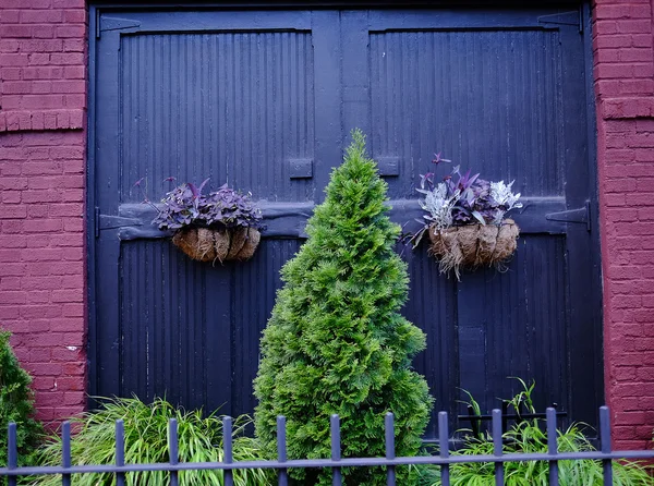 Blå dörren med blomkrukor och päls tree — Stockfoto