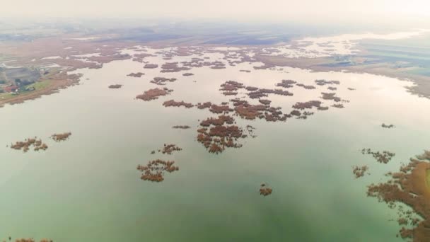 Dron Aéreo Naturaleza Intacta Serbia Amanecer Reed Islas Bulrush — Vídeo de stock