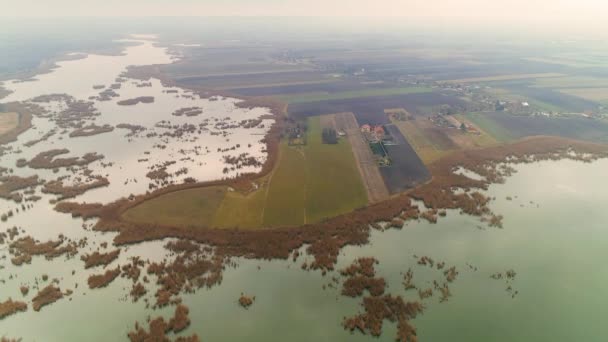 Aereo Drone Colpo Natura Incontaminata Serbia All Alba Canne Isole — Video Stock
