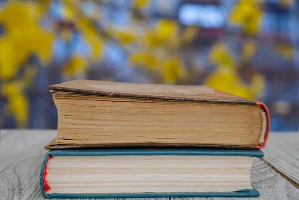 Dos Libros Sobre Mesa Sobre Fondo Paisaje Otoñal Para Papel —  Fotos de Stock