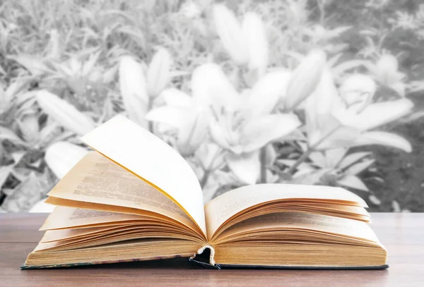 Livro Aberto Sobre Mesa Madeira Sobre Fundo Natural — Fotografia de Stock