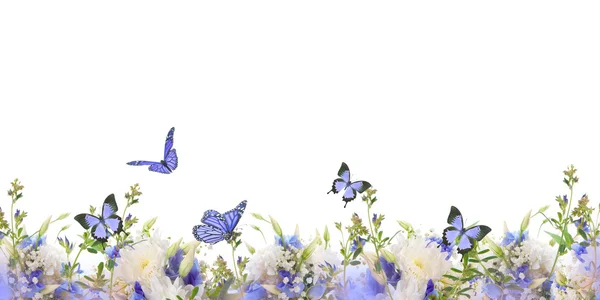 Границы с цветами и бабочками — стоковое фото