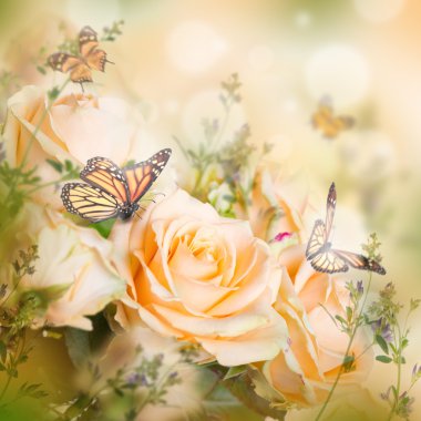 Güzel güller ve kelebekler  
