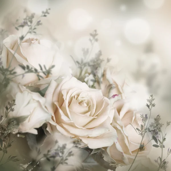 Rosas fundo floral — Fotografia de Stock