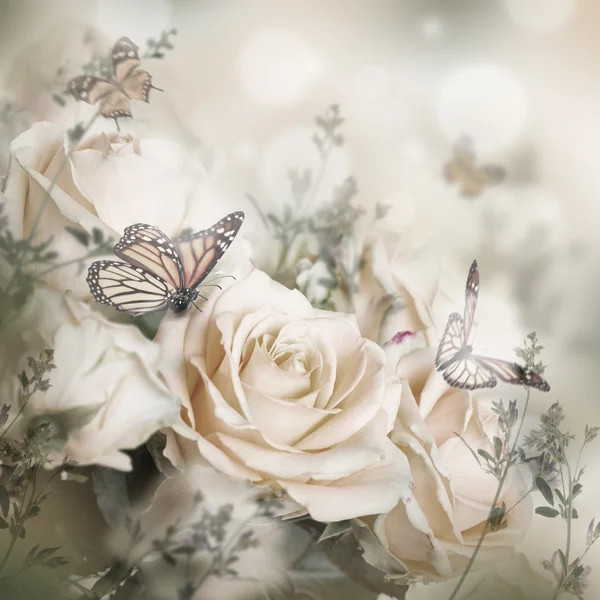 Schöne Rosen und Schmetterlinge — Stockfoto