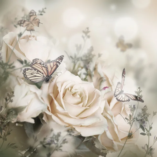 Beautiful roses and butterflies — Stock Photo, Image