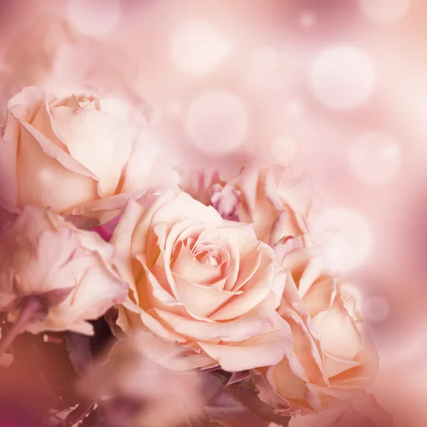 Rozen floral achtergrond — Stockfoto