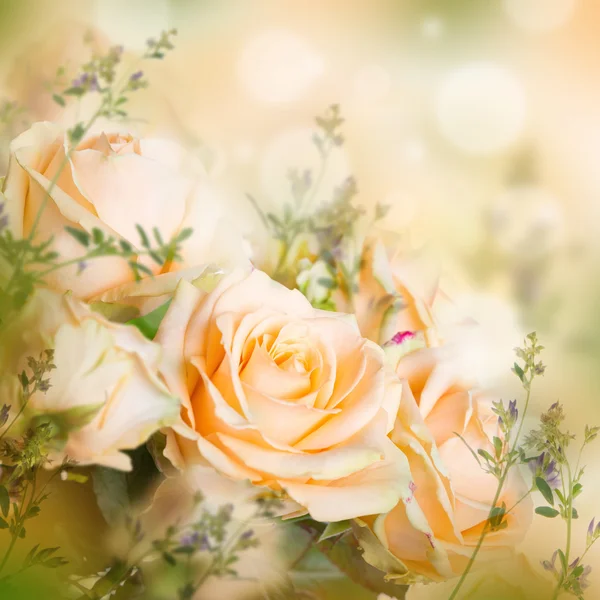 玫瑰花卉背景 — 图库照片