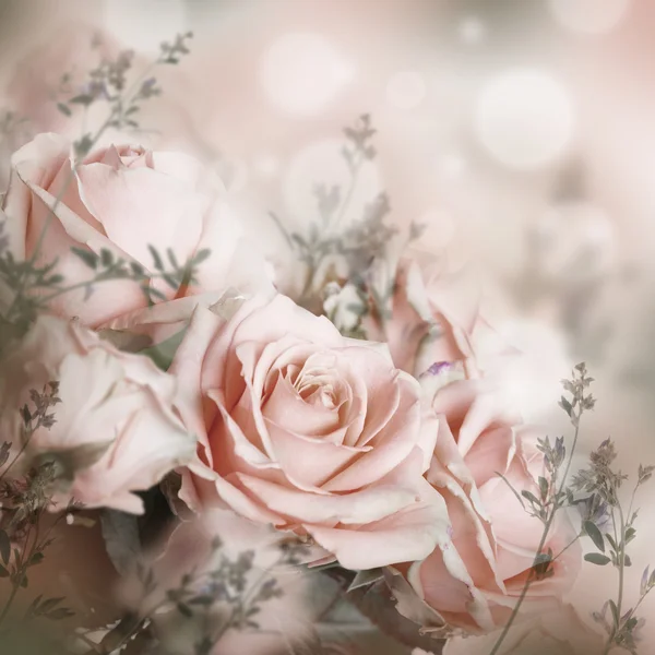 Rozen floral achtergrond — Stockfoto