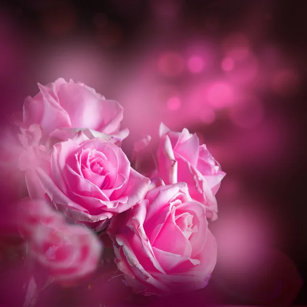 Rosas fondo floral —  Fotos de Stock