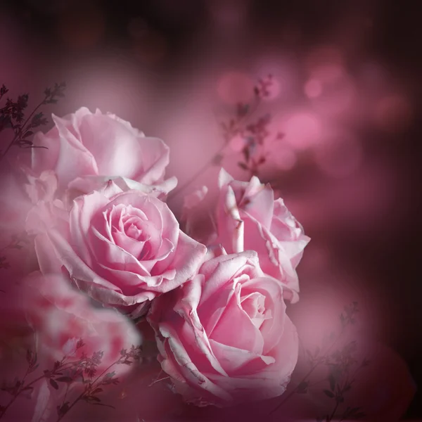 Rozen floral achtergrond — Stockfoto