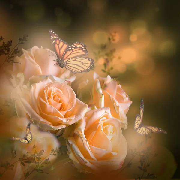Mooie rozen en vlinders — Stockfoto
