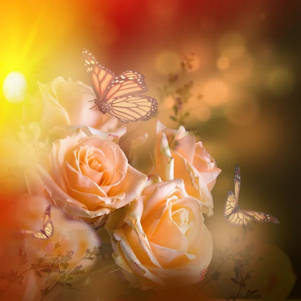 Hermosas rosas y mariposas —  Fotos de Stock