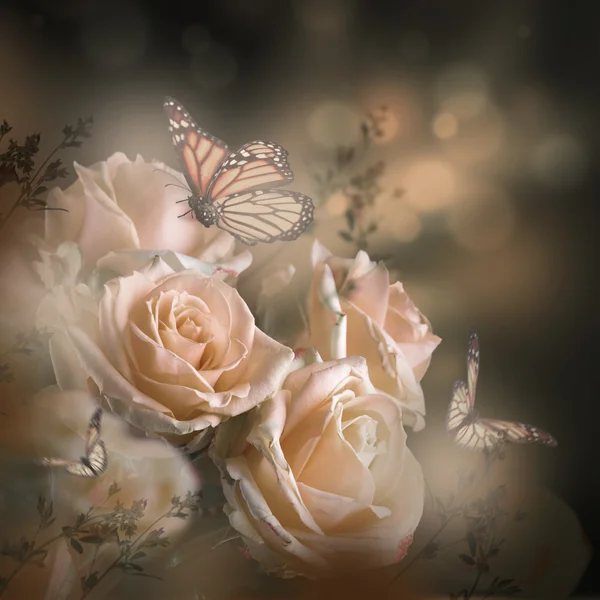 Lindas rosas e borboletas — Fotografia de Stock