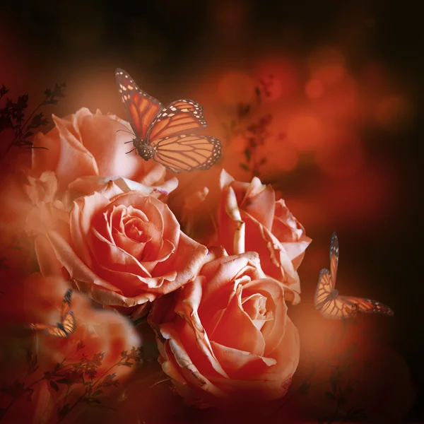Gyönyörű rózsák és a pillangók — Stock Fotó