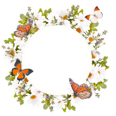 Güzel papatyalar ve kelebek