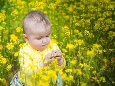  Kırmızı haşhaş ile alanında oynayan küçük bir çocuk . Bebek .