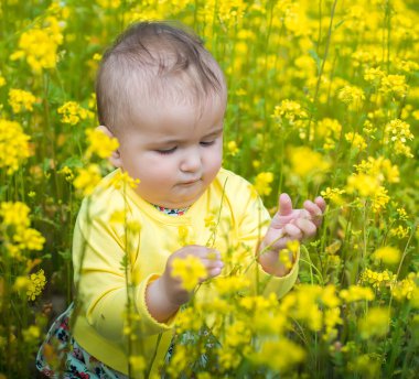  Kırmızı haşhaş ile alanında oynayan küçük bir çocuk . Bebek .