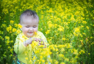  Kırmızı haşhaş ile alanında oynayan küçük bir çocuk . Bebek .