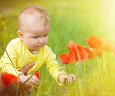  Kırmızı haşhaş ile alanında oynayan küçük bir çocuk . Bebek .