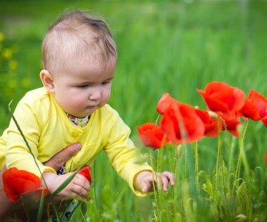 Kırmızı haşhaş ile alanında oynayan küçük bir çocuk . Bebek .