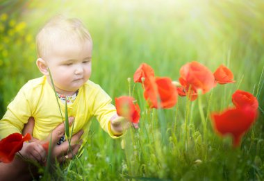  Kırmızı haşhaş ile alanında oynayan küçük bir çocuk . Bebek .