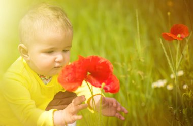  Kırmızı haşhaş ile alanında oynayan küçük bir çocuk . Bebek .