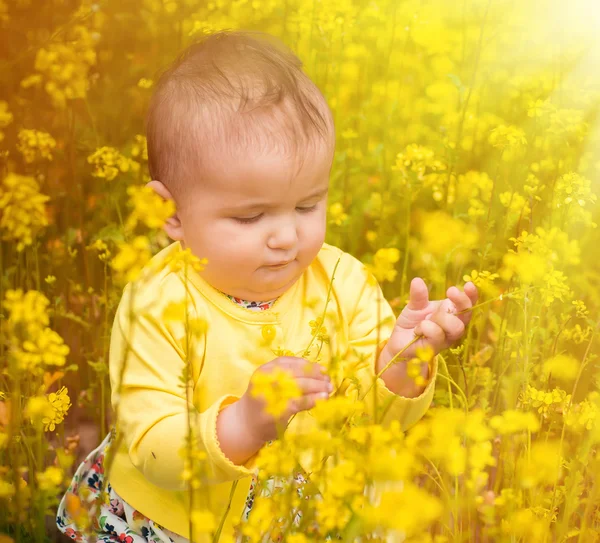 Un niño pequeño jugando en el campo con amapolas rojas. El bebé.  . —  Fotos de Stock