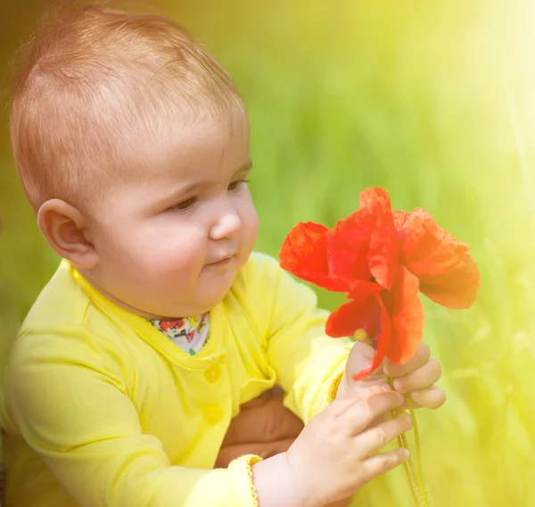 Un niño pequeño jugando en el campo con amapolas rojas. El bebé.  . —  Fotos de Stock