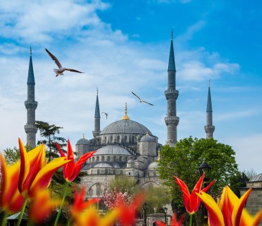 Istanbul Türkiye'nin başkenti