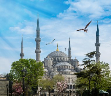 Istanbul Türkiye'nin başkenti