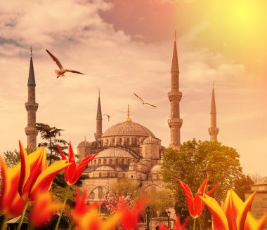 Istanbul Türkiye'nin başkenti