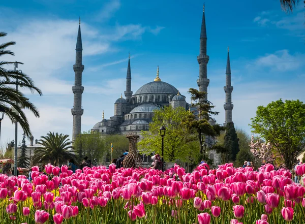 Istanbul the capital of Turkey — Stock Photo, Image