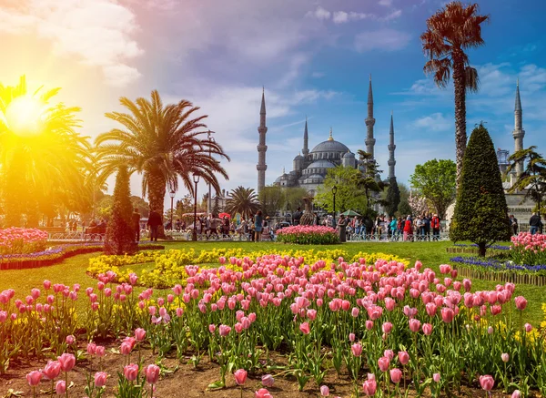 Istanbul the capital of Turkey — Stock Photo, Image