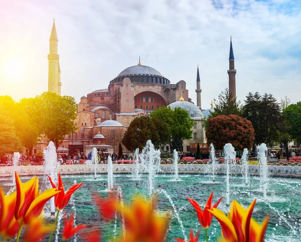 Istanbul the capital of Turkey — Stock Photo, Image