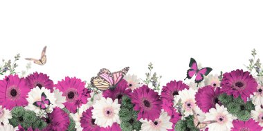 Kenarlık güzel papatyalar ve kelebekler