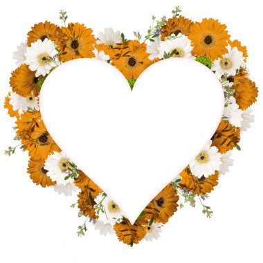 Kalp güzel papatyalar ve kelebekler