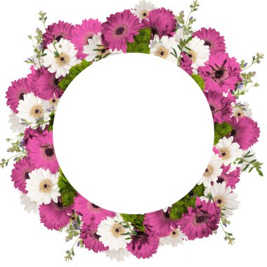 Çerçeve güzel papatyalar ve kelebekler