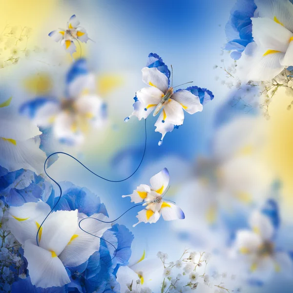 Дивовижна метелики фея з квітів — стокове фото