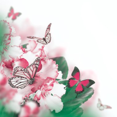 Bahar Menekşe ve kelebek