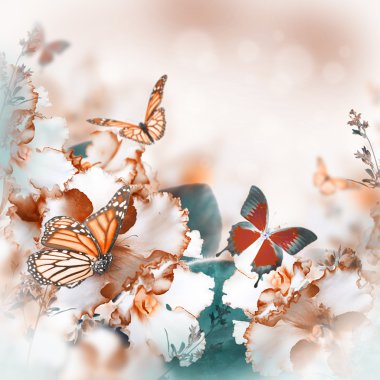 Bahar Menekşe ve kelebek