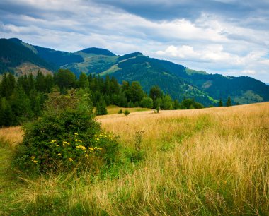 Sis ve samanlıkla kaplı bir manzara