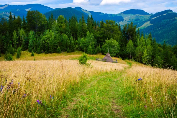 Пейзаж с туманом и стогом сена — стоковое фото