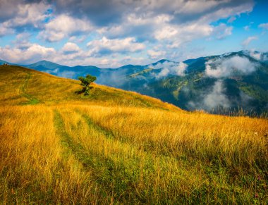 Sis ve samanlıkla kaplı bir manzara