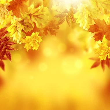 Sonbahar Yaprakları