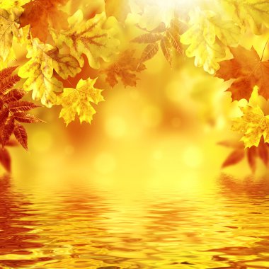 Sonbahar Yaprakları