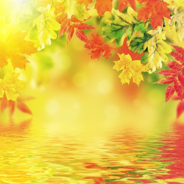 Sonbahar Yaprakları